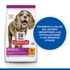 Hill's Science Plan Senior 11+ Small & Mini pollo pienso para perros, , large image number null